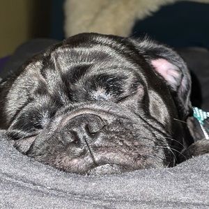 Meet your Posher, Nastasjia